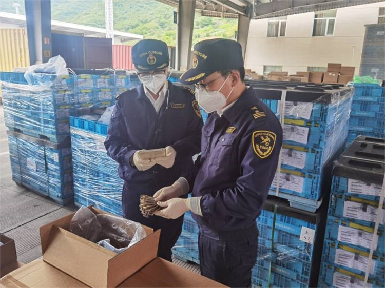 Promover o comércio exterior para garantir a estabilidade e melhorar a qualidade Ningbo Customs emitiu 20 medidas 