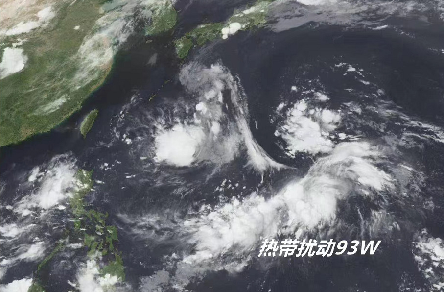 O tufão Sundar está chegando? Espera-se que a alta temperatura em Ningbo alivie a tempestade à tarde, antes do final do mês.
