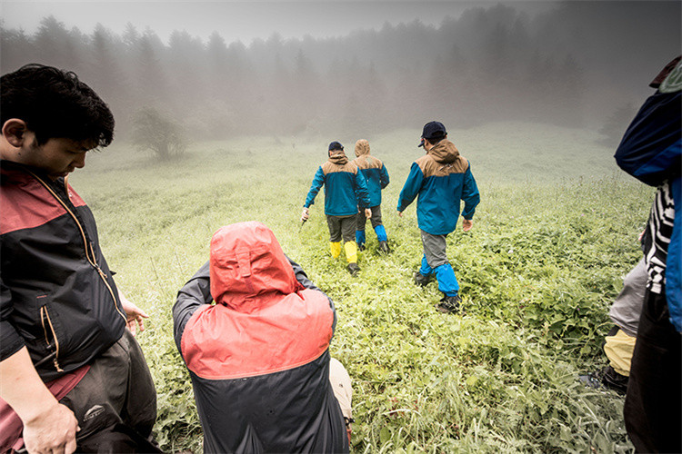 O que é o Surviva Wilderness Survival?